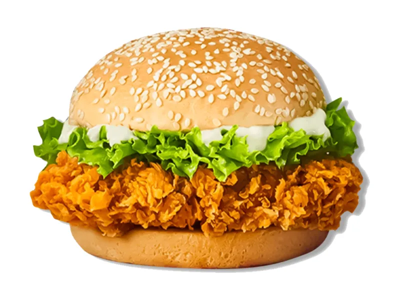 Zinger Burger Bacha Party